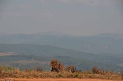 20120515082910Panorama00001.jpg