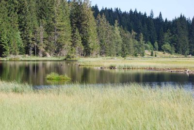 View over small Arber lake