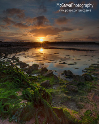 Donmouth Beauty!