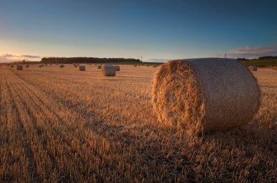 Harvest Warmth