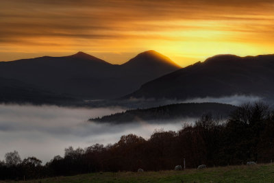 Loch Tay Gold