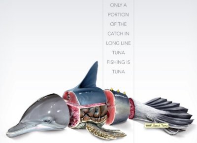 tuna-wwf.jpg