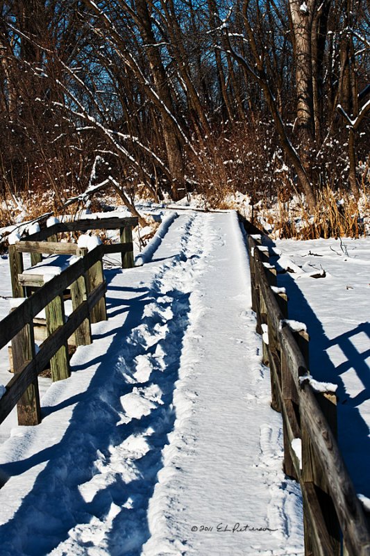 You can really hear the crunch of snow as you walk along the boardwalk.
An image may be purchased at http://edward-peterson.artistwebsites.com/featured/winter-boardwalk-edward-peterson.html