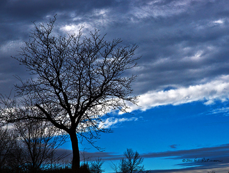 A gray day with a few hints of blue sky.
An image may be purchased at http://edward-peterson.artistwebsites.com/featured/winter-sky-edward-peterson.html