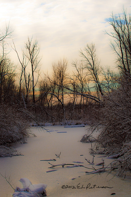 There is nothing like a new snowfall and a quiet corner of nature.
An image may be purchased at http://edward-peterson.artistwebsites.com/featured/1-frozen-pond-edward-peterson.html
