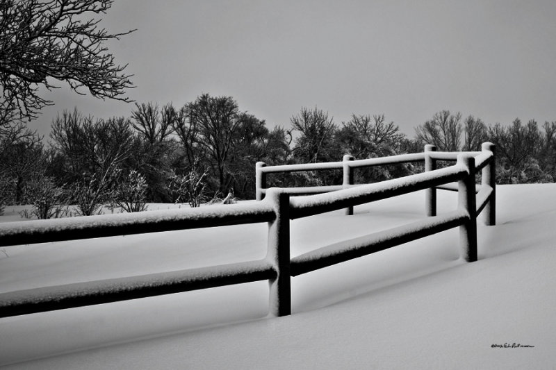 Winter provides some great opportunities to capture the wonders of nature.
An image may be purchased at http://edward-peterson.artistwebsites.com/featured/winter-fence-edward-peterson.html