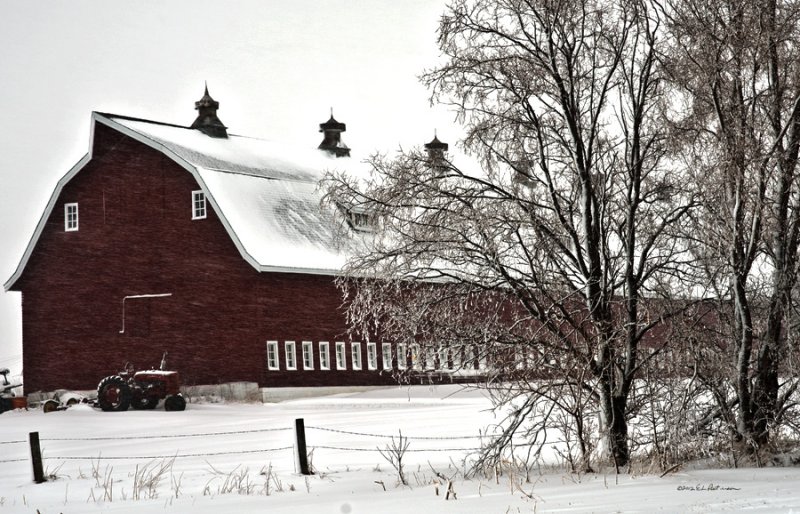 Out running around in a snow storm. Perfect for taking barn pictures.
An image may be purchased at http://edward-peterson.artistwebsites.com/featured/snowy-red-barn-edward-peterson.html