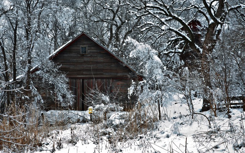You have to look hard to find these two barns tucked away and covered with snow.
An image may be purchased at http://edward-peterson.artistwebsites.com/featured/snow-covered-barn-edward-peterson.html