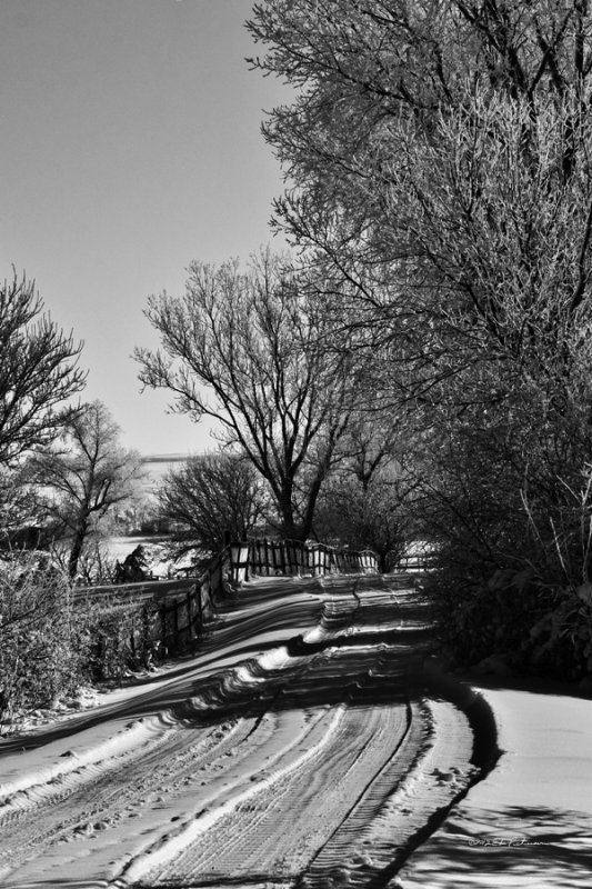 Nice lane going up to the homestead.
An image may be purchased at http://edward-peterson.artistwebsites.com/featured/country-lane-edward-peterson.html