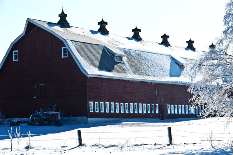 One of my favorite barns. Looks good all deck out in white.
An image may be purchased at http://edward-peterson.artistwebsites.com/featured/snow-covered-red-barn-edward-peterson.html