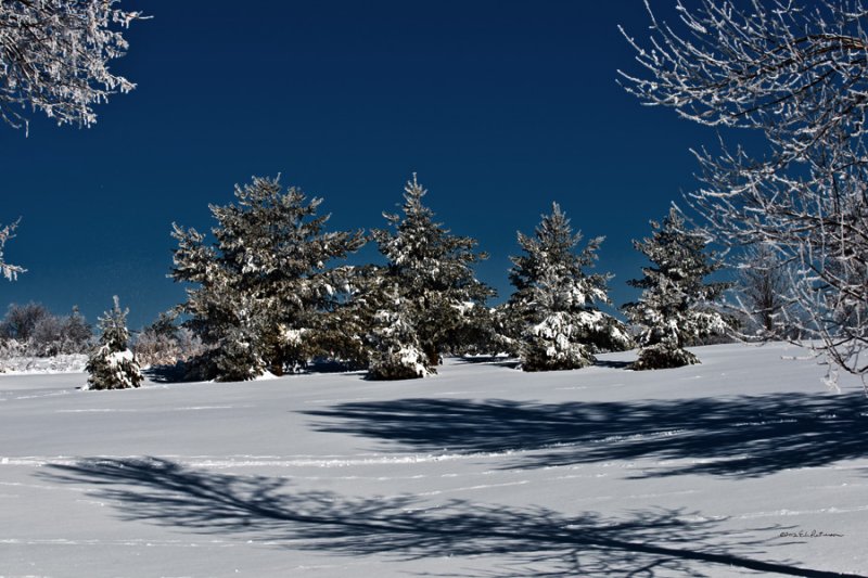 Met four other photographers out taking pictures in this same area. Just a great day to be out in the snow.
An image may be purchased at http://edward-peterson.artistwebsites.com/featured/winter-in-the-midwest-edward-peterson.html