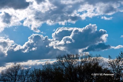 _DSC8090.jpg