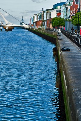 The river in downtown Dublin.