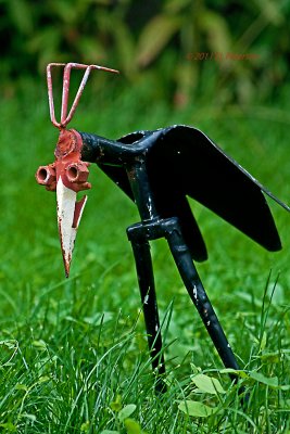 A Sickle Beak Rake Crowned Shovel Back Fork crane.