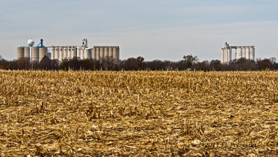 Typical midwest scene, corn has been harvested, and the grain elevators are filling.
An image may be purchased at http://edward-peterson.artistwebsites.com/featured/harvest-storage-edward-peterson.html