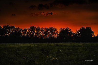 While out chasing eagles with my daughter, we saw a brillant sunset.
An image may be purchased at http://edward-peterson.artistwebsites.com/featured/sunset-fire-edward-peterson.html