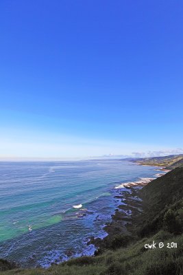 IMG_8619.jpg