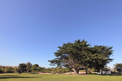 IMG_8643.jpg