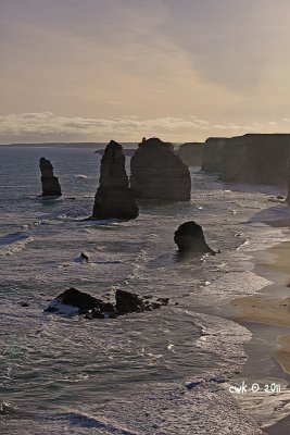 IMG_8713.jpg