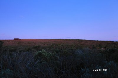 IMG_8917.jpg