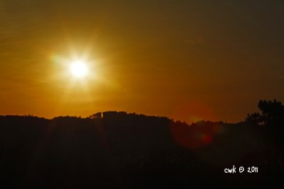 IMG_8732.jpg
