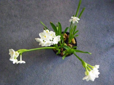moms_photos_030111