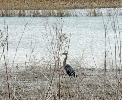 moms_photos_041911