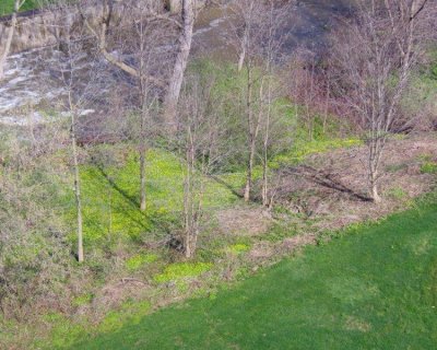 moms_photos_042911