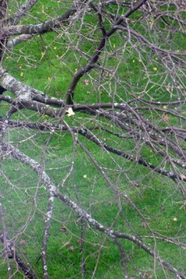 moms_photos_100611