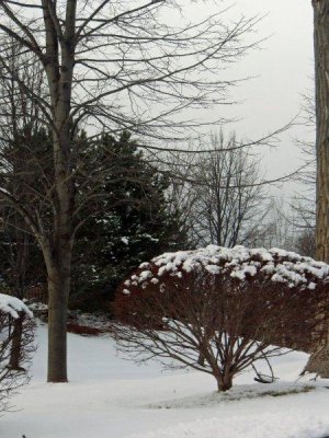 moms_photos_013012