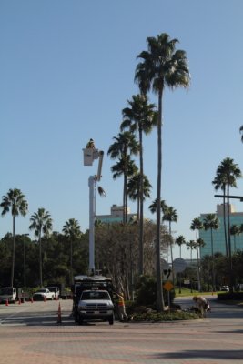 IMG_1406e.JPG