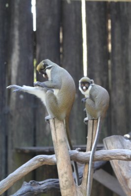 IMG_2313e.JPG