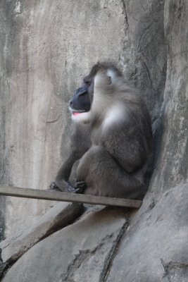 IMG_2321e.JPG