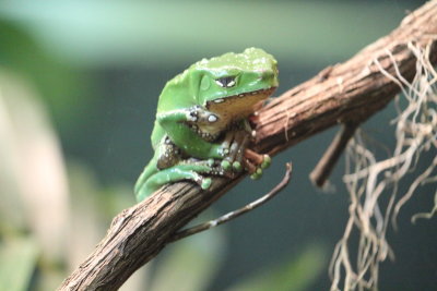 IMG_2344e.JPG