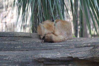 IMG_2397e.JPG