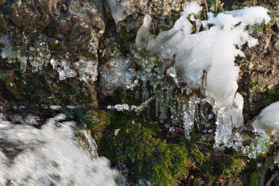 Week 7 Waterfall DSC_46028.jpg