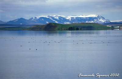 Myvatn Lake