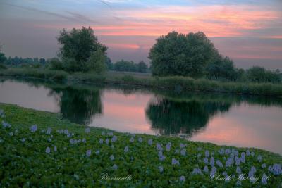 _MG_0266.jpg