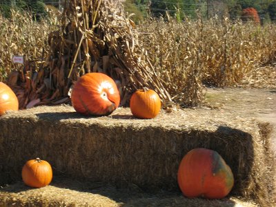 halloween0705.jpg
