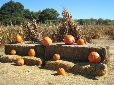 halloween0706.jpg
