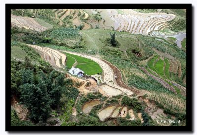 Rice Paddie Hills, Sapa, Vietnam.jpg