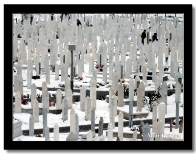 Meandering through the Graves of the 1992-93 Victims, Sarajevo, Bosnia and Herzegovina