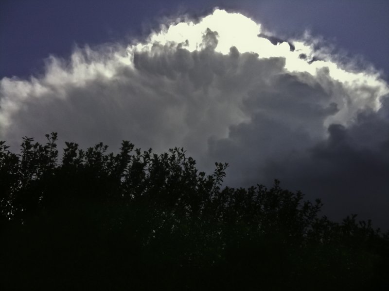 <B>Clouds Break</B> <BR><FONT SIZE=2>San Francisco and Petaluma, California 2011</FONT>
