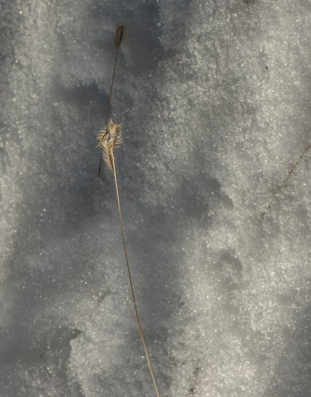 <B>Simple</B> <BR><FONT SIZE=2>Tent Rocks National Monument, New Mexico - January 2012</FONT>