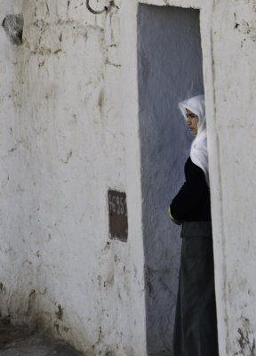 Watcher Tunisia - November 2008