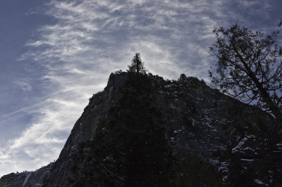 Looking Up Yosemite National Park - February, 2009