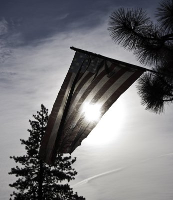 Sun