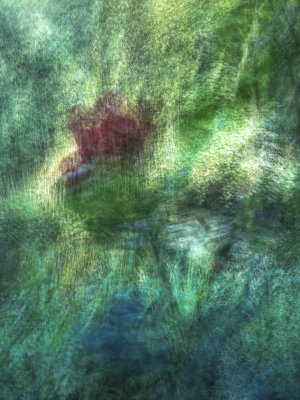 GALLERY:: Impressionism using the iPhone App - Average Cam - Giverny, France - June, 2012