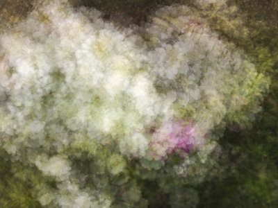 Almost Pointilism Giverny, France June,2012