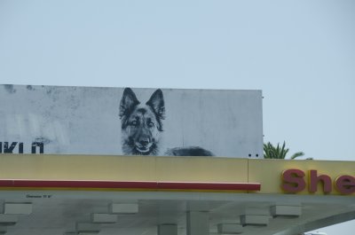 Guarding Shell Los Angeles, California - June - 2012